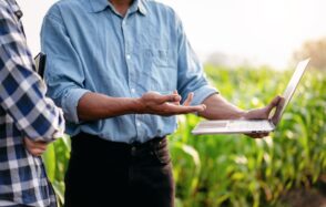 Reforma Tributária: Avanços e Desafios para a Inovação e a Capacidade Produtiva no Brasil